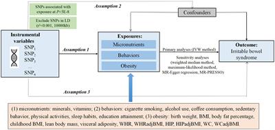 Associations of modifiable factors with risk of irritable bowel syndrome